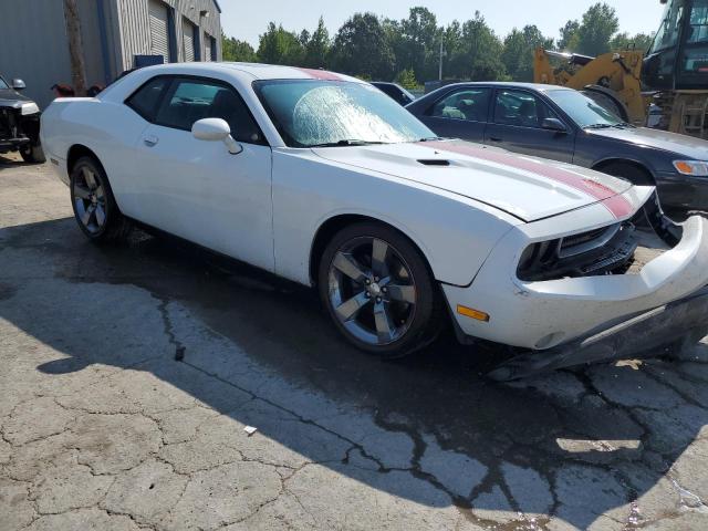 Photo 3 VIN: 2C3CDYAG1EH299629 - DODGE CHALLENGER 