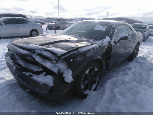 Photo 1 VIN: 2C3CDYAG2DH510495 - DODGE CHALLENGER 