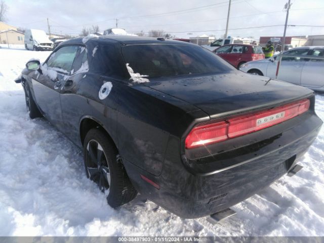 Photo 2 VIN: 2C3CDYAG2DH510495 - DODGE CHALLENGER 