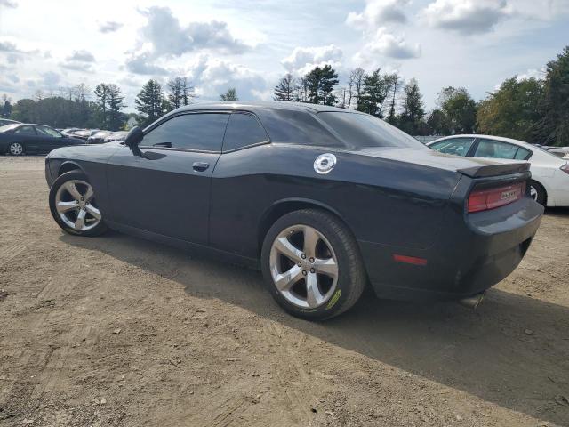 Photo 1 VIN: 2C3CDYAG2DH674815 - DODGE CHALLENGER 