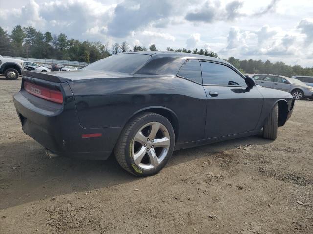 Photo 2 VIN: 2C3CDYAG2DH674815 - DODGE CHALLENGER 