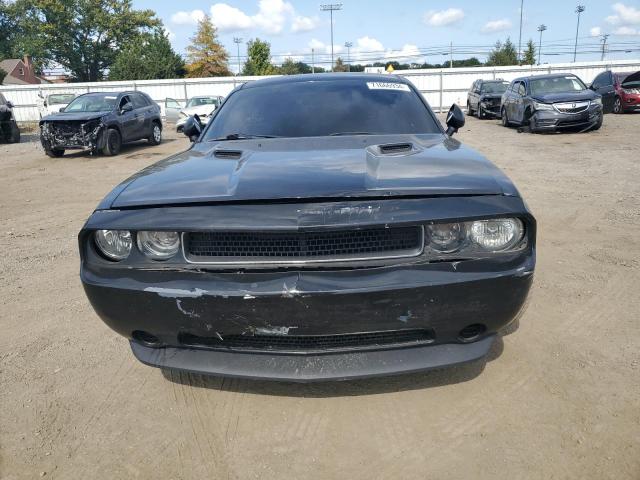 Photo 4 VIN: 2C3CDYAG2DH674815 - DODGE CHALLENGER 