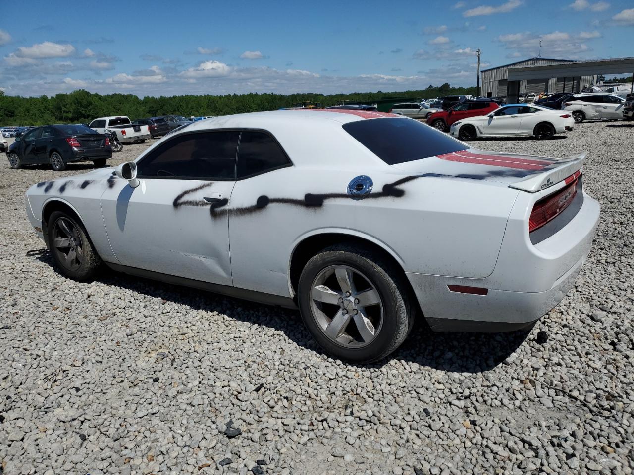 Photo 1 VIN: 2C3CDYAG2DH733796 - DODGE CHALLENGER 