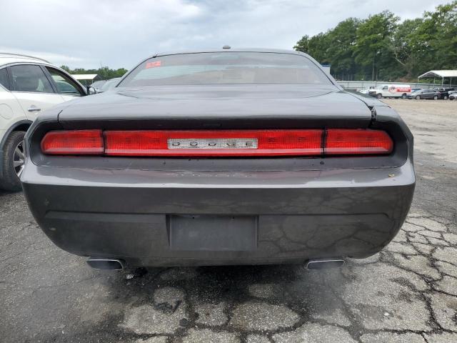 Photo 5 VIN: 2C3CDYAG2EH133975 - DODGE CHALLENGER 