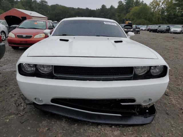 Photo 4 VIN: 2C3CDYAG3DH536426 - DODGE CHALLENGER 