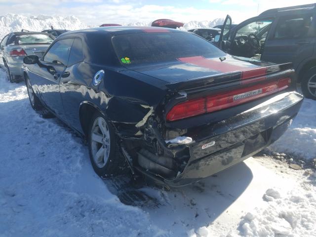 Photo 2 VIN: 2C3CDYAG4DH501359 - DODGE CHALLENGER 