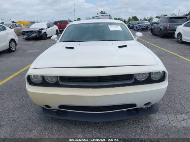 Photo 5 VIN: 2C3CDYAG4DH607178 - DODGE CHALLENGER 