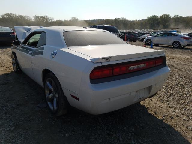 Photo 2 VIN: 2C3CDYAG6DH570246 - DODGE CHALLENGER 