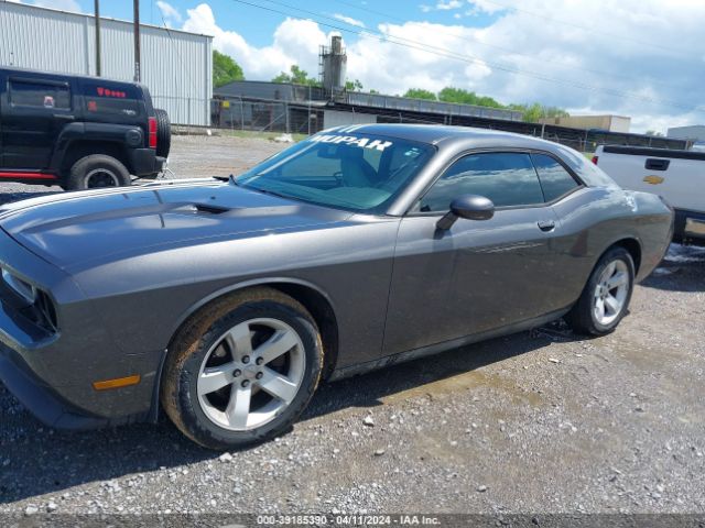 Photo 1 VIN: 2C3CDYAG7DH541919 - DODGE CHALLENGER 