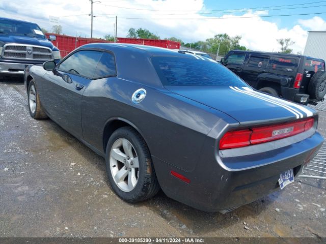 Photo 2 VIN: 2C3CDYAG7DH541919 - DODGE CHALLENGER 