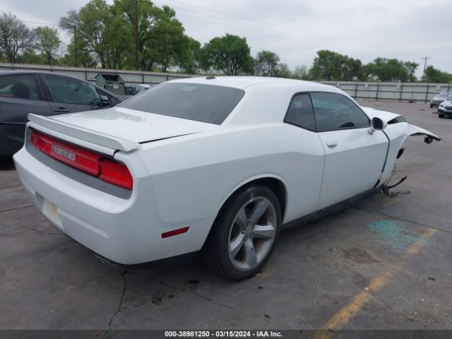 Photo 3 VIN: 2C3CDYAG7DH612553 - DODGE CHALLENGER 