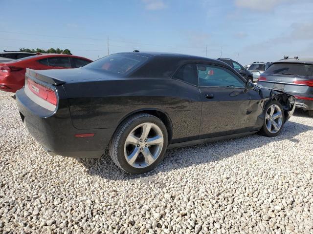 Photo 2 VIN: 2C3CDYAG8DH540293 - DODGE CHALLENGER 