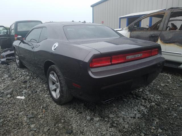 Photo 2 VIN: 2C3CDYAG8DH582124 - DODGE CHALLENGER 