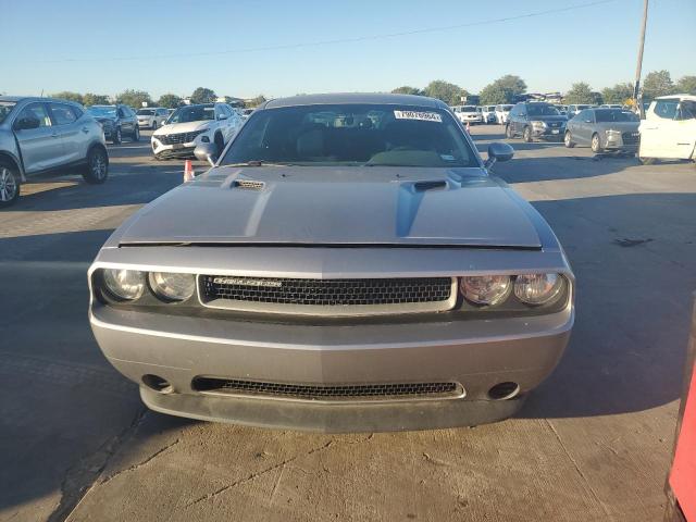 Photo 4 VIN: 2C3CDYAG8EH184459 - DODGE CHALLENGER 