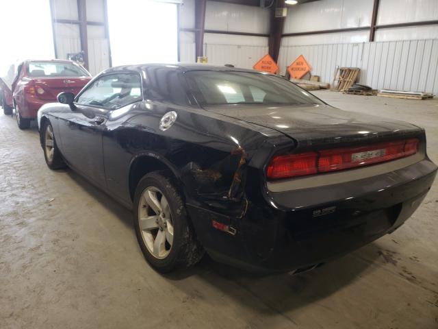 Photo 2 VIN: 2C3CDYAG9DH593049 - DODGE CHALLENGER 