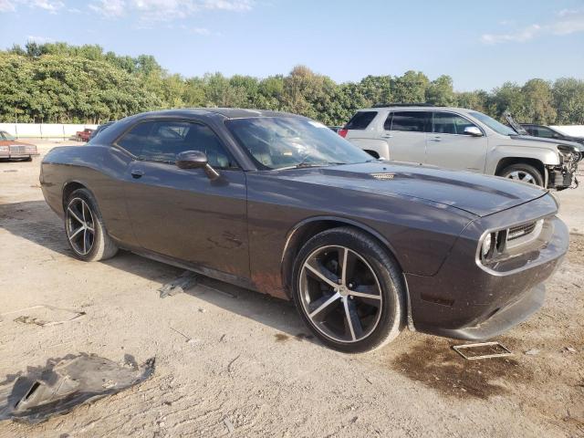 Photo 3 VIN: 2C3CDYAG9EH162325 - DODGE CHALLENGER 