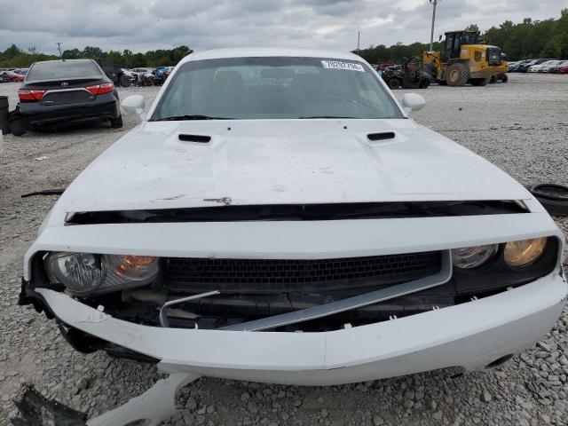 Photo 4 VIN: 2C3CDYAG9EH266880 - DODGE CHALLENGER 