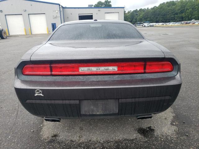 Photo 5 VIN: 2C3CDYAG9EH302857 - DODGE CHALLENGER 