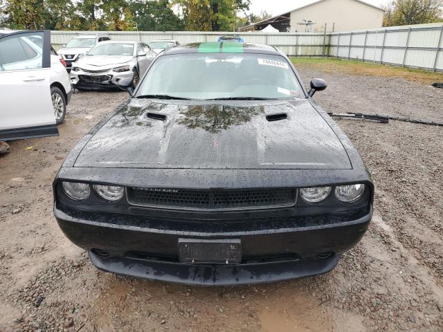 Photo 4 VIN: 2C3CDYAG9EH313809 - DODGE CHALLENGER 