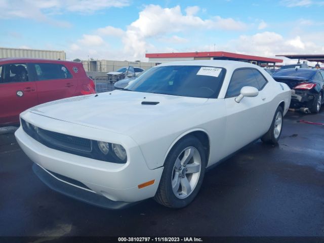 Photo 1 VIN: 2C3CDYAGXDH607251 - DODGE CHALLENGER 