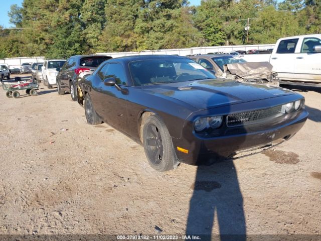 Photo 0 VIN: 2C3CDYAGXDH675212 - DODGE CHALLENGER 