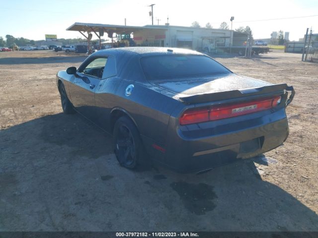 Photo 2 VIN: 2C3CDYAGXDH675212 - DODGE CHALLENGER 