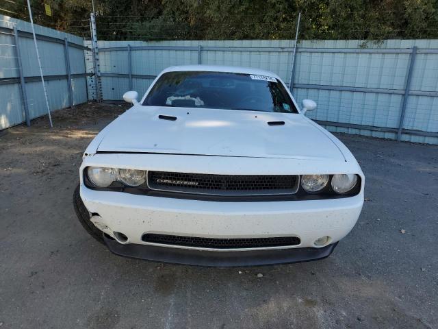 Photo 4 VIN: 2C3CDYAGXEH123503 - DODGE CHALLENGER 