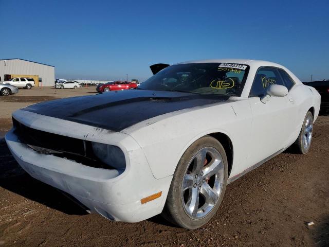 Photo 1 VIN: 2C3CDYBT4DH501292 - DODGE CHALLENGER 