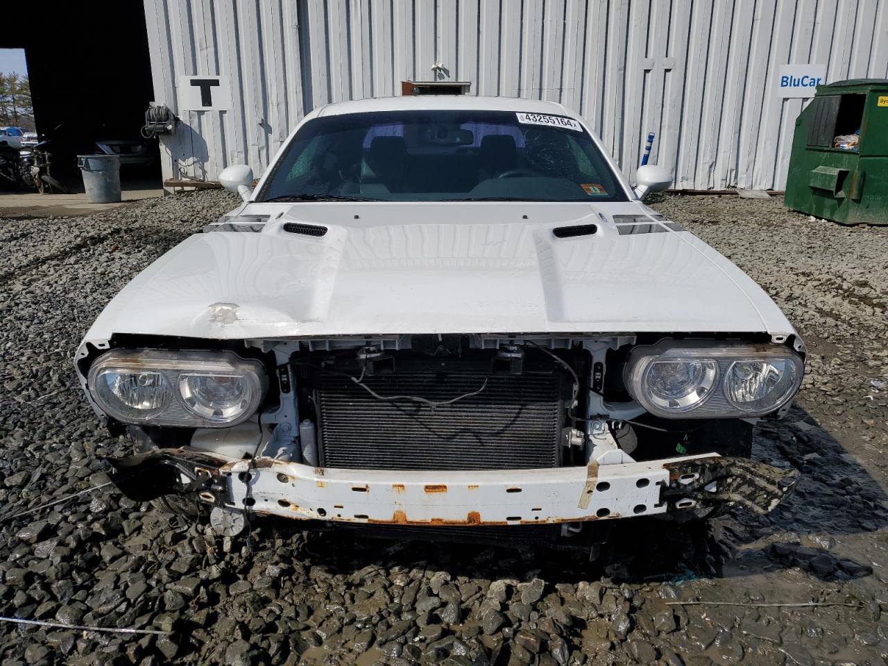 Photo 4 VIN: 2C3CDYBT4DH592953 - DODGE CHALLENGER 