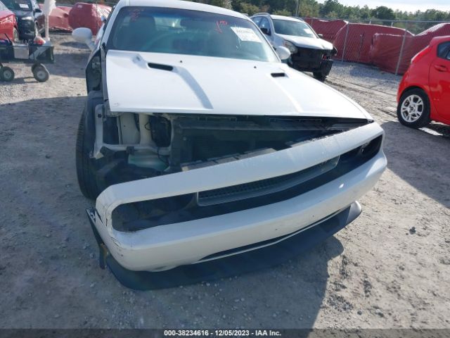 Photo 5 VIN: 2C3CDYBT6DH501438 - DODGE CHALLENGER 