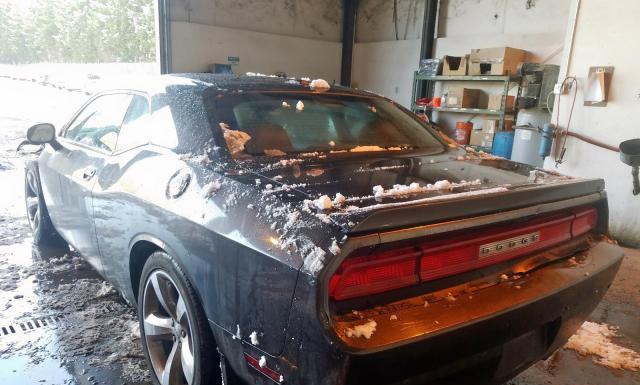 Photo 2 VIN: 2C3CDYBT6EH306666 - DODGE CHALLENGER 