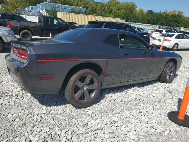 Photo 2 VIN: 2C3CDYBT7DH741212 - DODGE CHALLENGER 