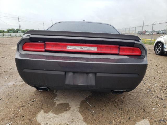 Photo 5 VIN: 2C3CDYBT9DH687007 - DODGE CHALLENGER 