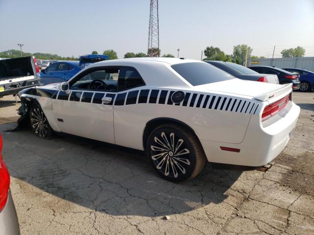 Photo 1 VIN: 2C3CDYBTXDH695102 - DODGE CHALLENGER 