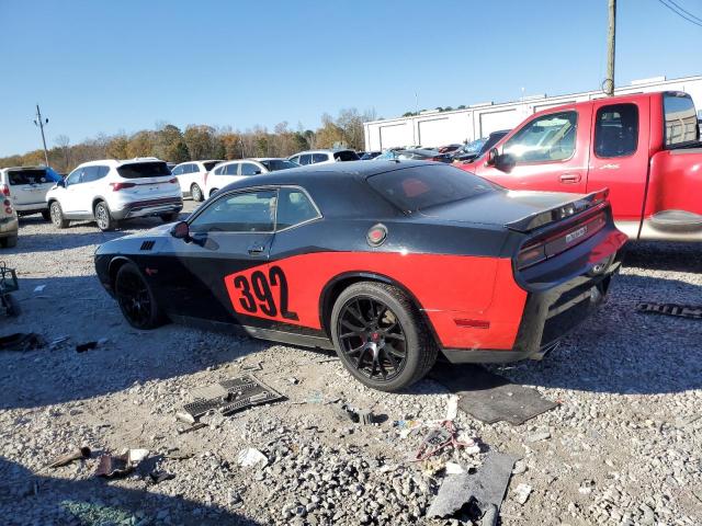 Photo 1 VIN: 2C3CDYCJ9DH558360 - DODGE CHALLENGER 