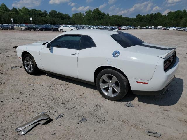 Photo 1 VIN: 2C3CDZAG1KH751919 - DODGE CHALLENGER 