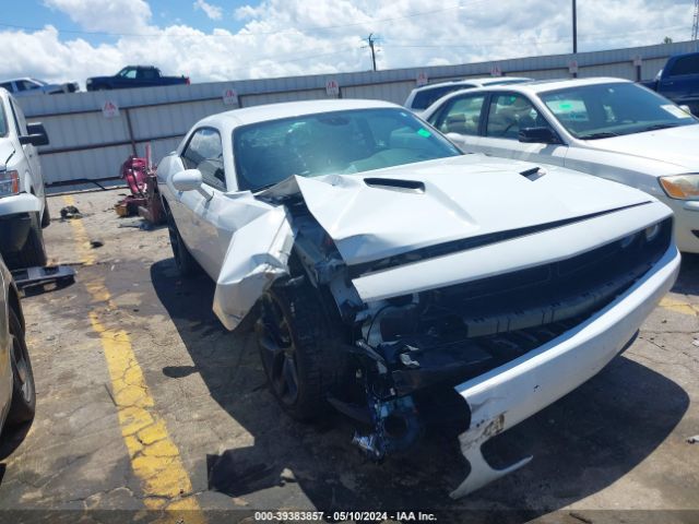 Photo 0 VIN: 2C3CDZAG2LH195234 - DODGE CHALLENGER 