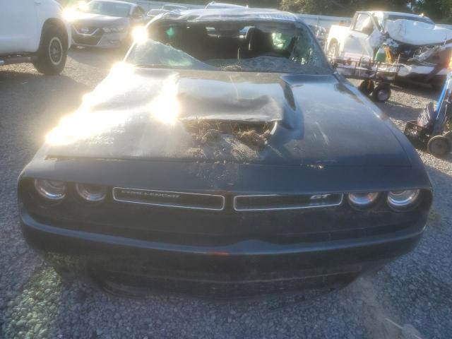 Photo 4 VIN: 2C3CDZJG1PH507291 - DODGE CHALLENGER 