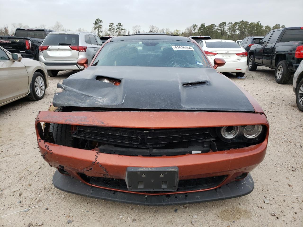 Photo 5 VIN: 2C3CDZJG2LH172424 - DODGE CHALLENGER 