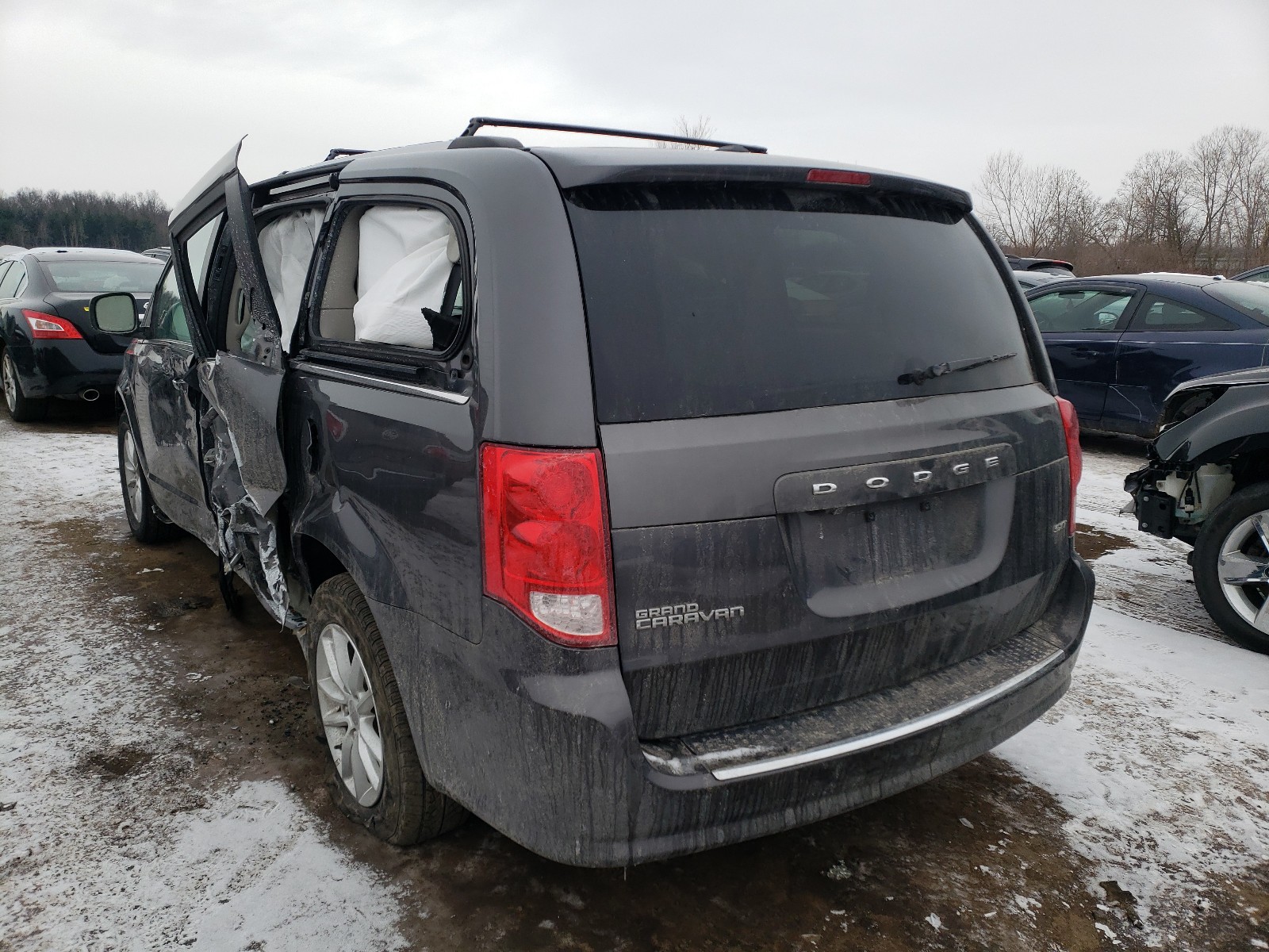 Photo 2 VIN: 2C4RDGCG1LR206418 - DODGE GRAND CARAVAN 