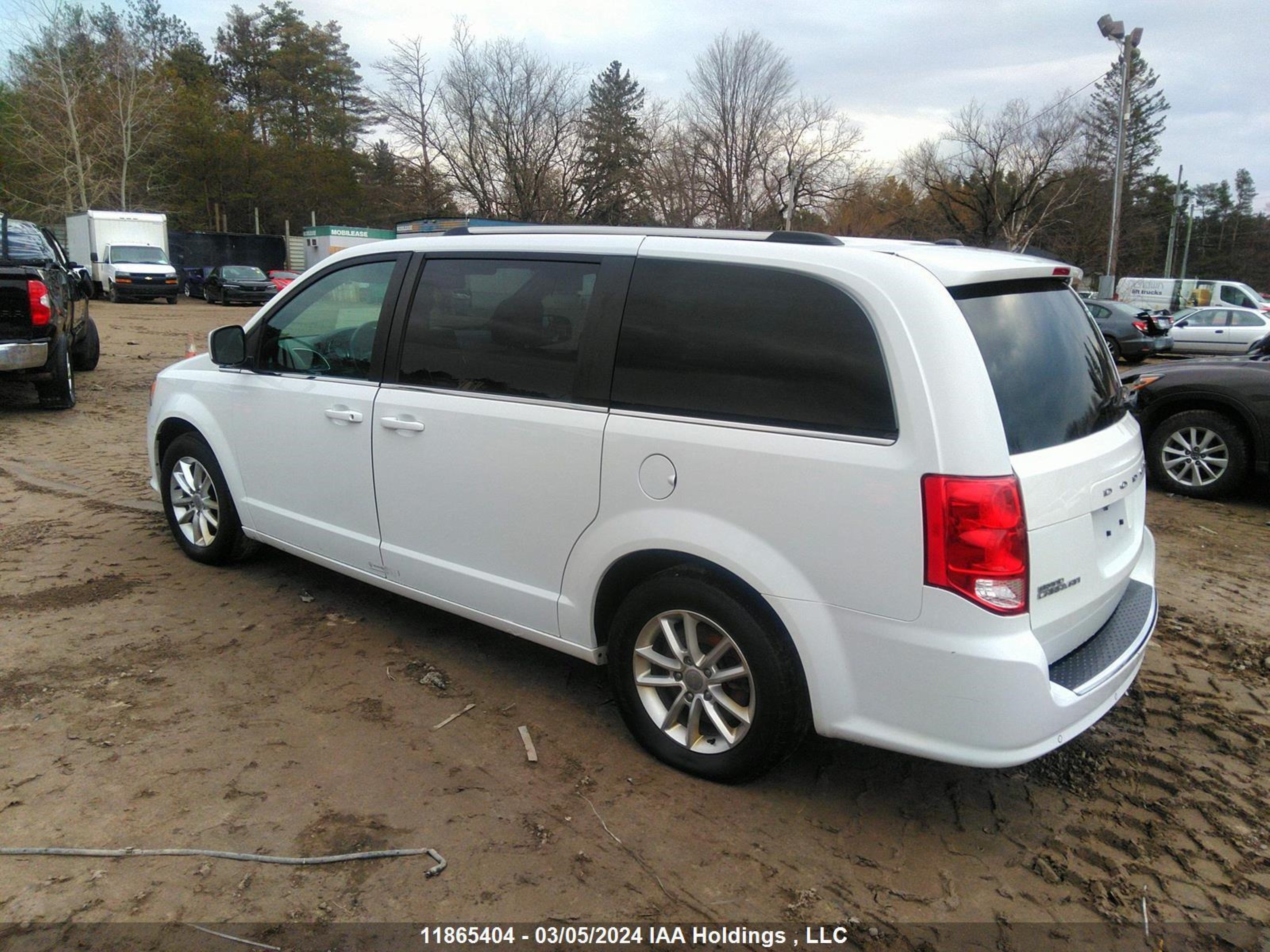 Photo 2 VIN: 2C4RDGCGXLR214761 - DODGE CARAVAN 