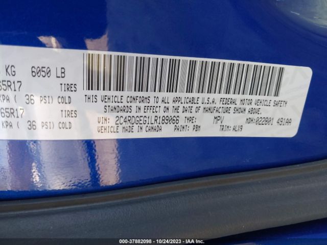 Photo 8 VIN: 2C4RDGEG1LR189066 - DODGE GRAND CARAVAN 