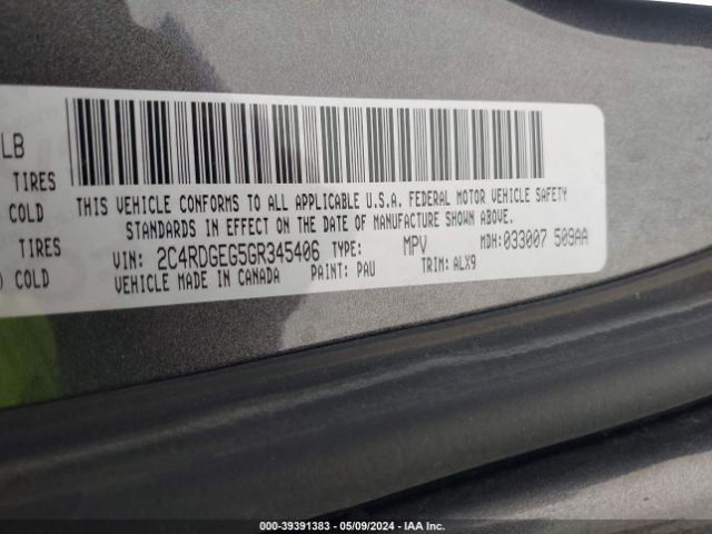 Photo 8 VIN: 2C4RDGEG5GR345406 - DODGE GRAND CARAVAN 