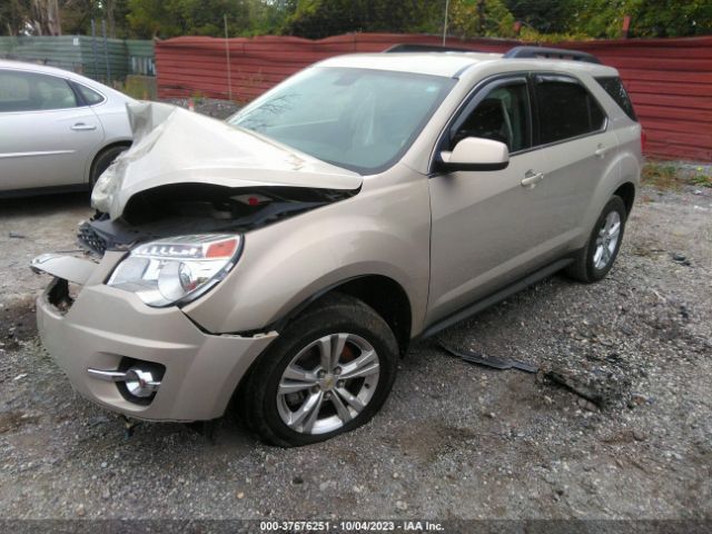 Photo 1 VIN: 2CNALDEC1B6209436 - CHEVROLET EQUINOX 