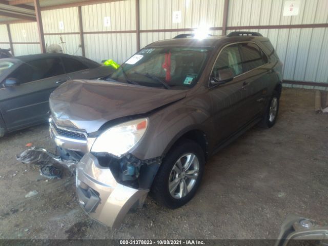 Photo 1 VIN: 2CNALDEC6B6207231 - CHEVROLET EQUINOX 