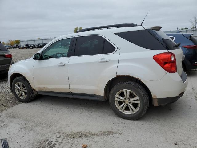 Photo 1 VIN: 2CNALDEC8B6288152 - CHEVROLET EQUINOX LT 