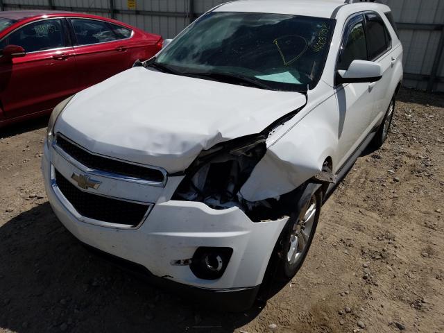 Photo 8 VIN: 2CNALDEC9B6441668 - CHEVROLET EQUINOX LT 