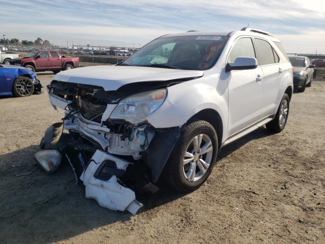 Photo 1 VIN: 2CNALDEW2A6298135 - CHEVROLET EQUINOX LT 