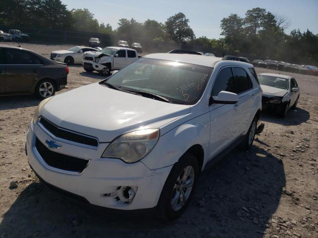 Photo 1 VIN: 2CNALDEW2A6312230 - CHEVROLET EQUINOX LT 