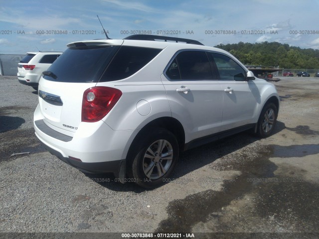 Photo 3 VIN: 2CNALDEW7A6242143 - CHEVROLET EQUINOX 